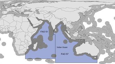 Reconstructing past fisheries catches for large pelagic species in the Indian Ocean